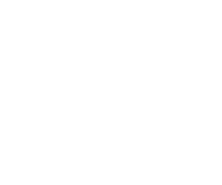 fore-shank